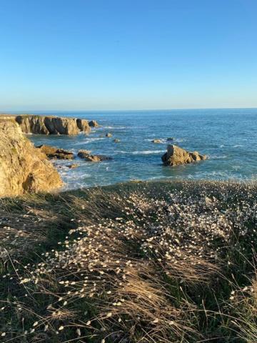 Studio Agreable 300M Cote Sauvage Le Pouliguen Luaran gambar